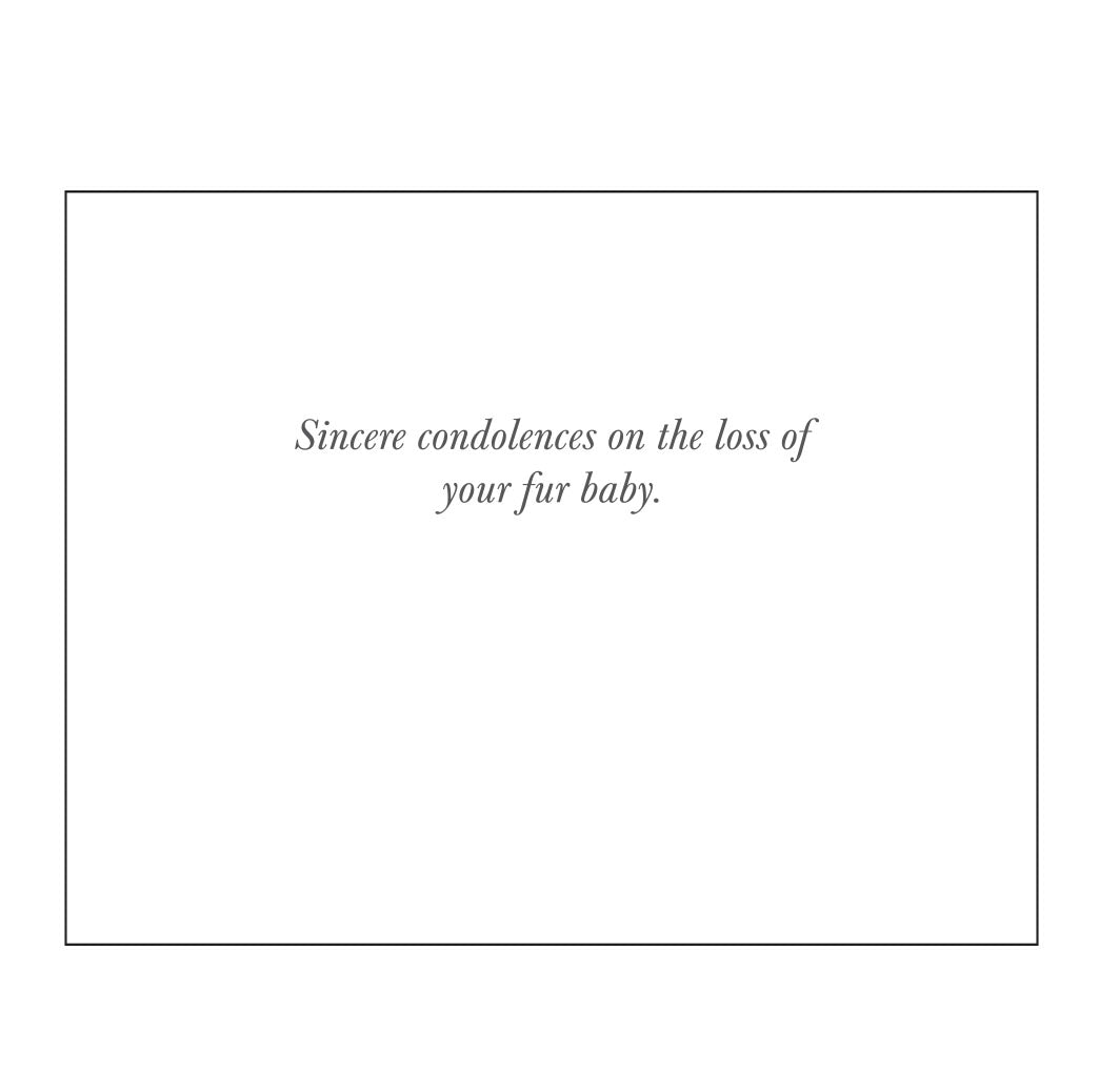 Pet sympathy card: Patrick Swayze quote