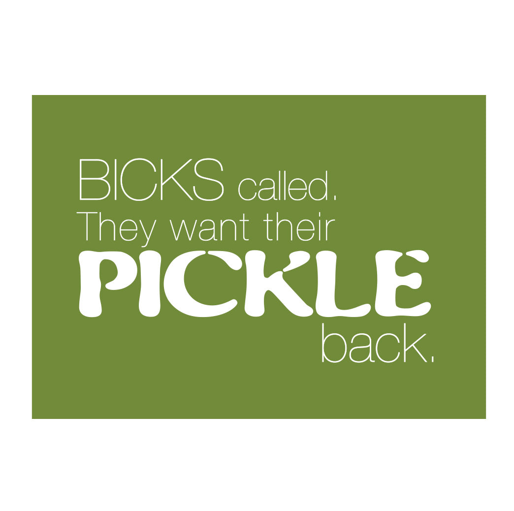 Magnet- Pickle